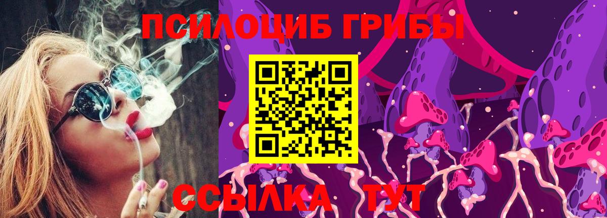 Саратов  Галлюциногенные грибы Psilocybine cubensis  Вход с VPN  Галлюциногенные грибы мицелий 