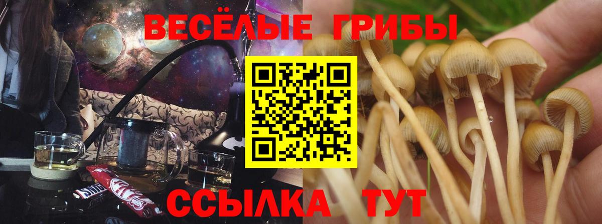 Псилоцибиновые грибы ЛСД Саратов